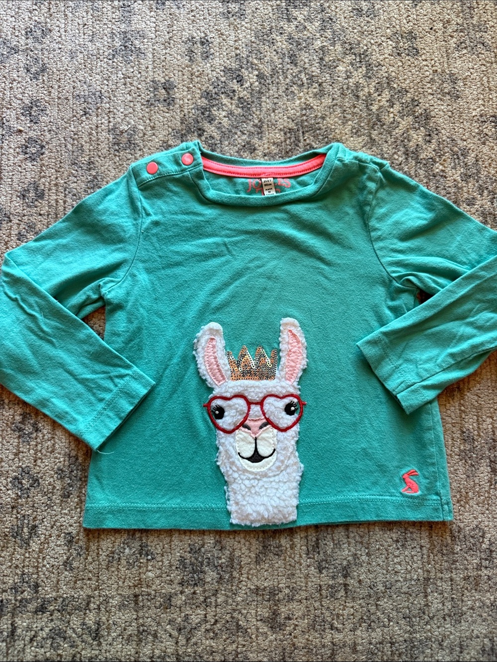 Joules Teal Llama Applique Long-Sleeve Top with Pink Accents